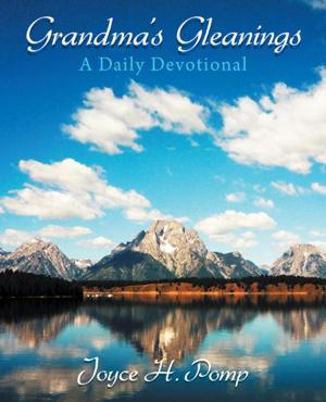 Cover of the book Grandma's Gleanings by Timolin R. Langin