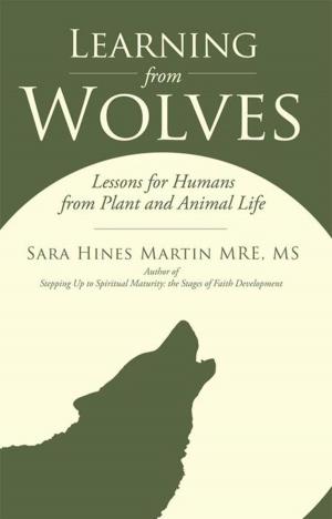Cover of the book Learning from Wolves by Jeanette Davidson MS