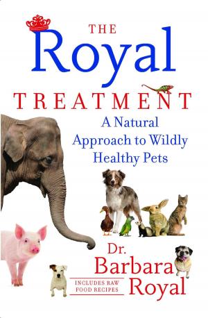 Cover of the book The Royal Treatment by Megan Collins