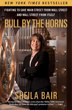Cover of the book Bull by the Horns by Jill Soloway
