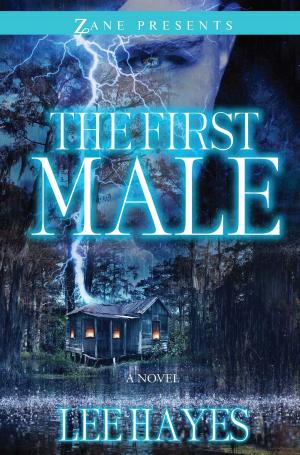 bigCover of the book The First Male by 