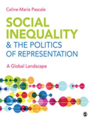 Cover of the book Social Inequality & The Politics of Representation by Jason W. Osborne