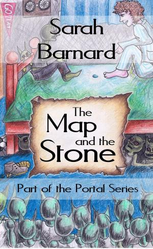 Book cover of The Map and the Stone
