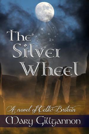 Cover of the book The Silver Wheel by John Mack