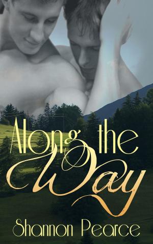 Cover of the book Along the Way by K. Lyn