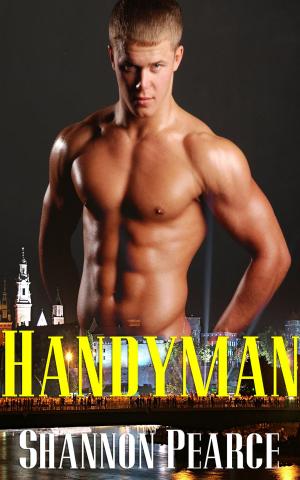 Cover of the book Handyman by BK Wright