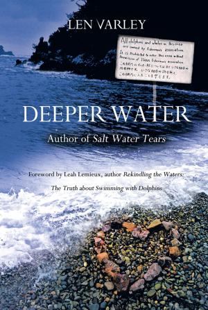 Cover of the book Deeper Water by Gavin Pitt, Rachael Thomson