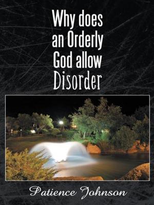 Cover of the book Why Does an Orderly God Allow Disorder by Gay Lyn Birkholz