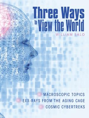 Cover of the book Three Ways to View the World by Carmel-Ann Mania, Loren M. Gelberg-Goff
