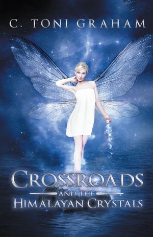 Book cover of Crossroads and the Himalayan Crystals