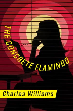 Cover of the book The Concrete Flamingo by Daniel Kennedy