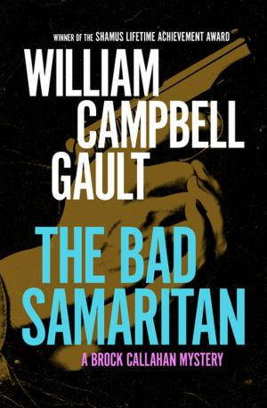 Book cover of The Bad Samaritan
