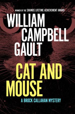 bigCover of the book Cat and Mouse by 