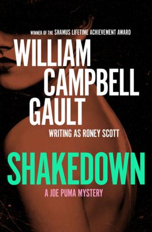 Cover of the book Shakedown by DJ Priddle