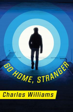 Book cover of Go Home, Stranger