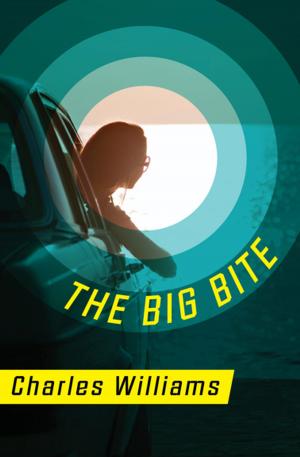 Cover of the book The Big Bite by Matt LeMaire