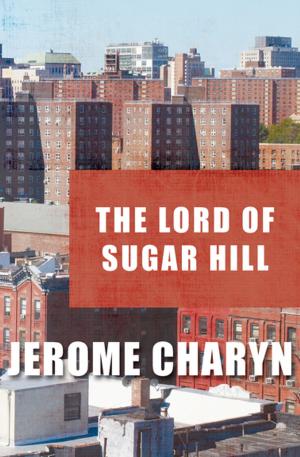 bigCover of the book The Lord of Sugar Hill by 