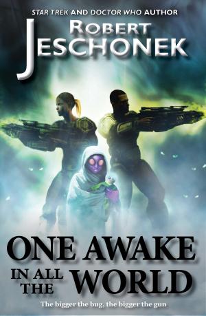 Cover of the book One Awake in All the World by R. Stone
