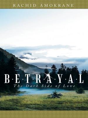 Cover of the book Betrayal by Patrick Armstrong