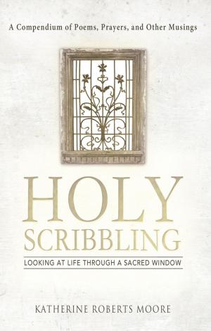 Book cover of Holy Scribbling