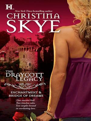Cover of the book Enchantment & Bridge of Dreams by Linda Howard
