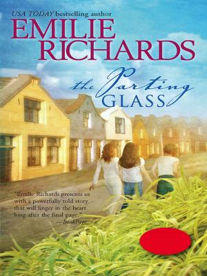 Book cover of THE PARTING GLASS