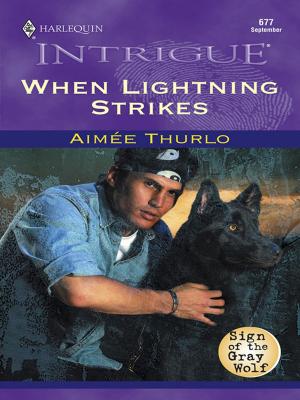 Cover of the book WHEN LIGHTNING STRIKES by Susan Peterson