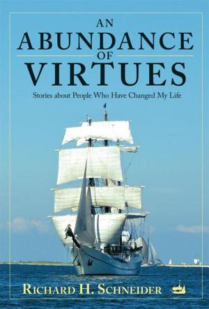 Cover of the book An Abundance of Virtues by Sheridan Voysey