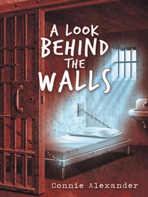 Cover of the book A Look Behind the Walls by Gregory McDowell