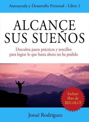 Cover of the book Alcance Sus Sueños by Alicia García
