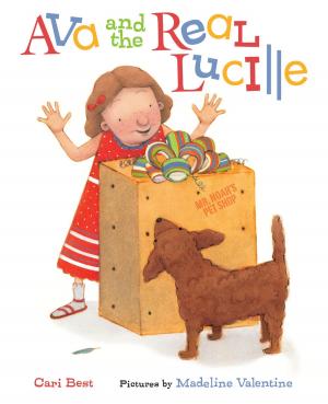 Cover of the book Ava and the Real Lucille by Elizabeth Swados