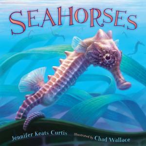 Cover of the book Seahorses by Mary E. Pearson