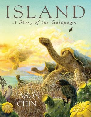 Cover of the book Island by Gus Gordon
