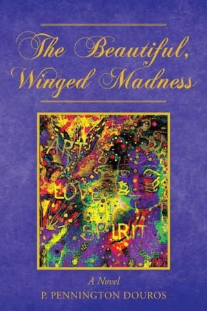 Cover of the book The Beautiful, Winged Madness by Edward Parrish Jr.