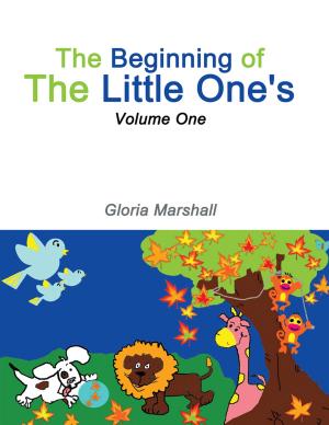 Book cover of The Beginning of the Little One's