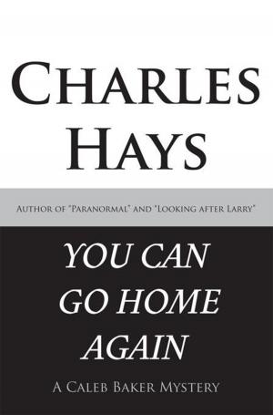 Cover of the book You Can Go Home Again by Douglas W. Ayres