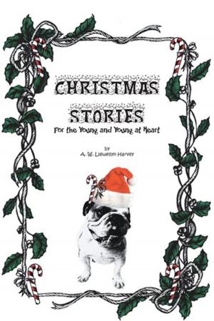 Cover of the book Christmas Stories by DAVID T. GILBERT.