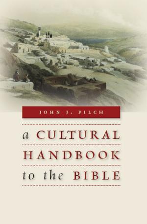 Cover of the book A Cultural Handbook to the Bible by Bruce W. Winter