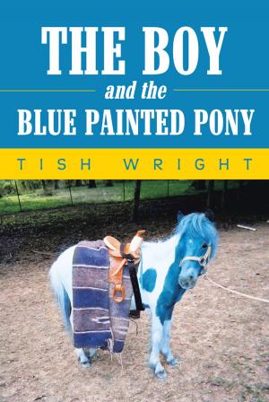 Cover of the book The Boy and the Blue Painted Pony by Priscilla Thomson Jackson