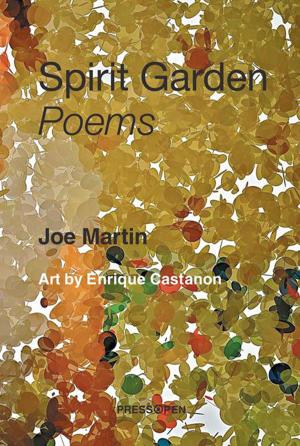 Cover of the book Spirit Garden: Poems by Jennifer M. Garnatz