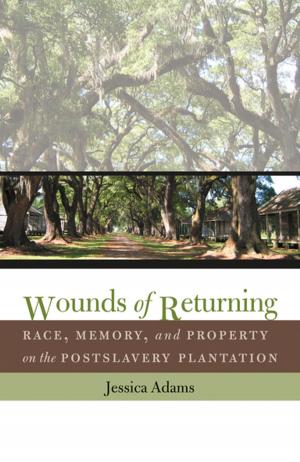 Cover of the book Wounds of Returning by Blain Roberts