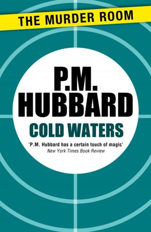Cover of the book Cold Waters by Anthony Price