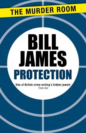 Cover of the book Protection by Kenneth Bulmer