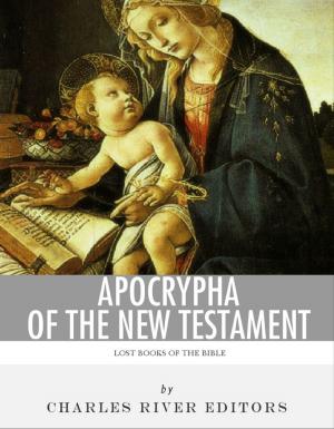 bigCover of the book Lost Books of the Bible: Apocrypha of the New Testament by 