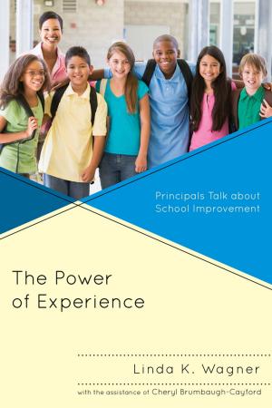 Cover of the book The Power of Experience by Rebecca C. Schmidt