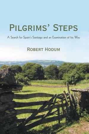 Cover of the book Pilgrims’ Steps by Abe Cytryn