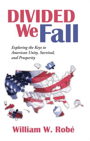 Cover of the book Divided We Fall by Patricia Ireland-Williams