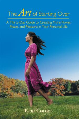 Cover of the book The Art of Starting Over by Kareen Walsh
