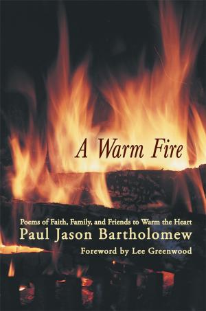 Cover of the book A Warm Fire by Mirfarhad Moghimi