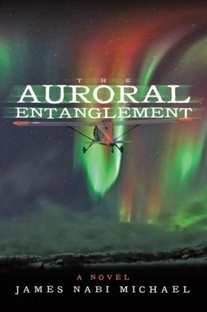Cover of the book The Auroral Entanglement by Bart Reitter